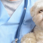 beam-banner-dierenkliniek - Beam Centraal Stofzuigsystemen B.V.